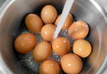 Are Eggs Good For Weight Loss?