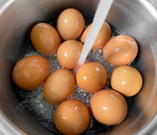 Are Eggs Good For Weight Loss?