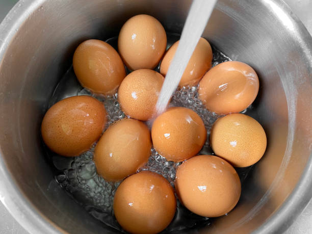 Are Eggs Good For Weight Loss? - Seihive